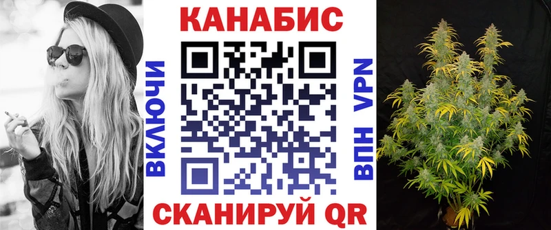 Бошки Шишки планчик Архангельск